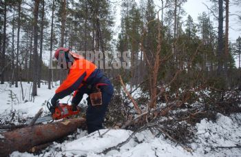 EA188079, Eastpress, Inari, Finland